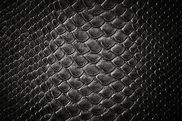 reference snake pattern