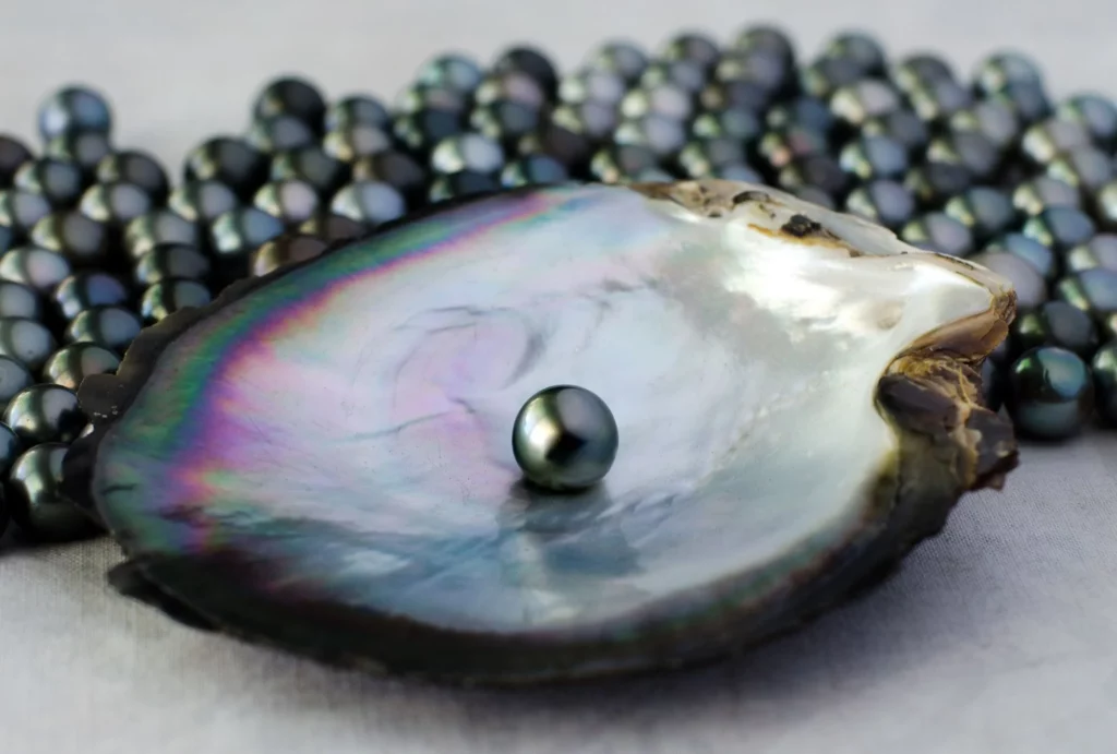 Black Pearls